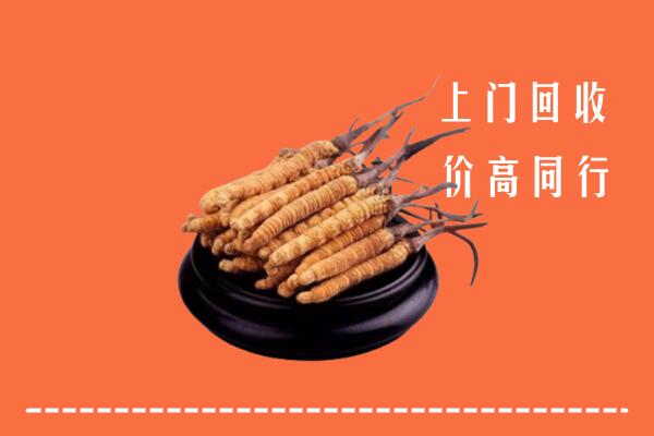 高价求购：广水市回收散虫草