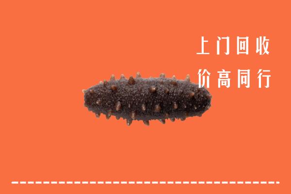 广水市回收海参