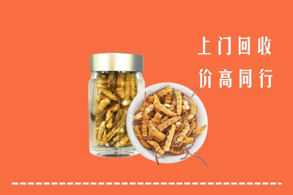 广水市回收冬虫夏草